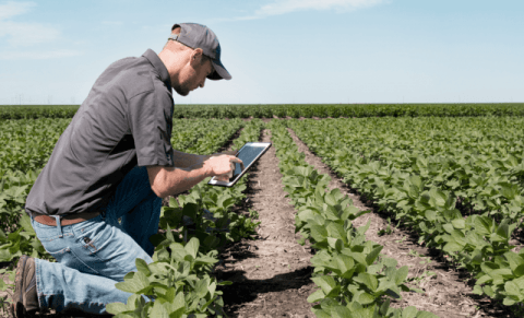 L’importance de la technologie dans le domaine agricole  un blog d